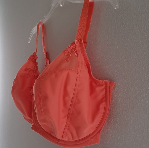1St & Curve Embroidered Unlined Underwire Bra, size 36I - Picture 4 of 16